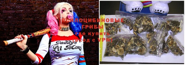 героин Богданович