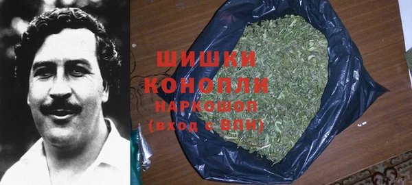 амф Богородск