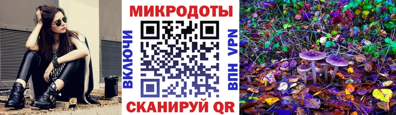 Галлюциногенные грибы Psilocybine cubensis где можно купить наркотик Великие Луки